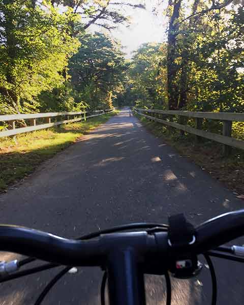 cycling on the rail trail in Harwich
